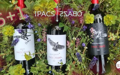 5 + 1 AJÁNDÉK, TAVASZKÖSZÖNTŐ JÓFEJSÉG