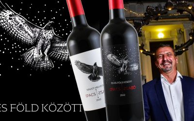 Ég és Föld között – Pécs szívében