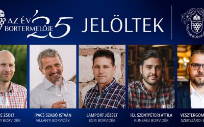 Újabb megtisztelő jelöltség