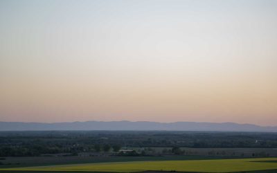 Thewinesmike – Instead of honeymoon story