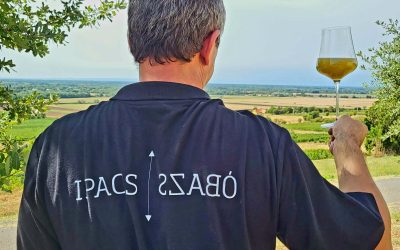 2026-os szüretindulás és egy új fehérbor első lépései